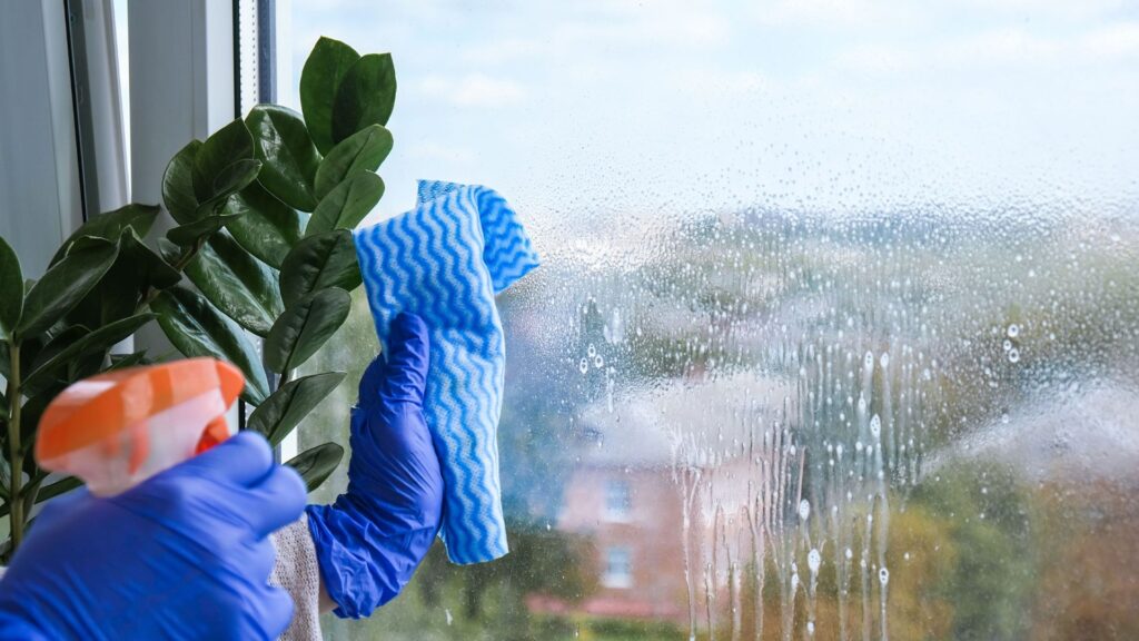 Eco-Friendly Cleaning