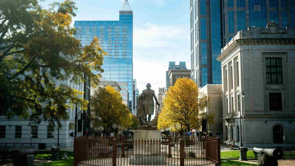 The Ultimate Guide to an Allergen-Free Home in Raleigh